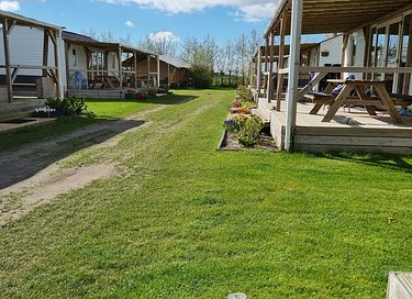 Logement de vacances au milieu des champs de bulbes - 14