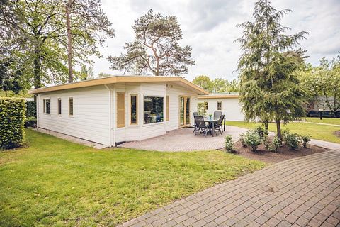 Comfortabele bungalow voor 6 personen - 2