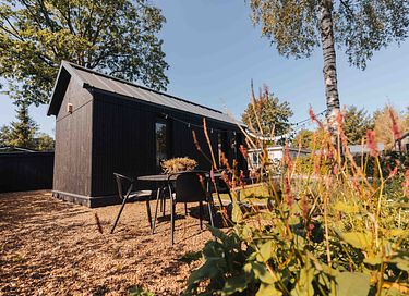 Scandinavisch huisje op de Veluwe - 34