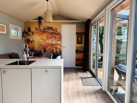 Cozy Tiny House in wooded area - 4
