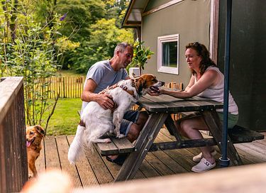 Unique stay in Drenthe (dogs allowed) - 5