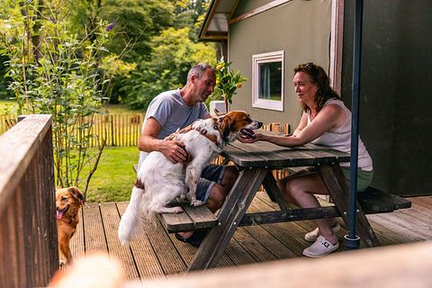 Unique stay in Drenthe (dogs allowed) - 5