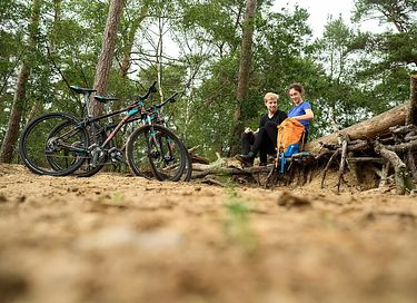 Villa (6p) met buitenhaard op de Veluwe - 48