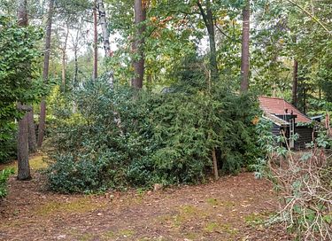 Romantic cottage in the forest with fireplace - 45