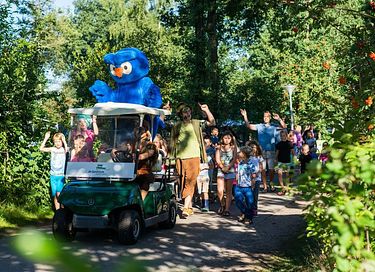 Stoere lodge op glamping - 19