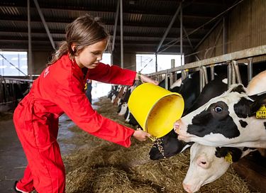 Glamping auf der Dairy & Calf Farm - 10