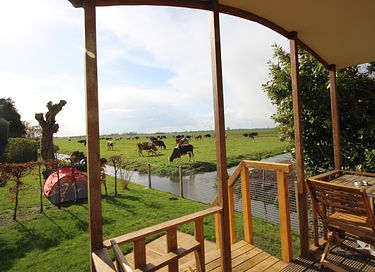 Leuke pipowagen op een kleinschalige camping - 3