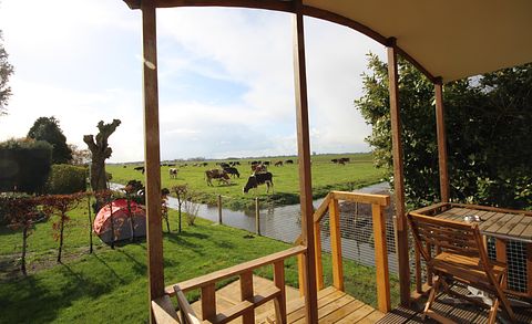 Leuke pipowagen op een kleinschalige camping - 3