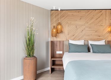 Chambre de luxe à Zeeland, directement sur le boulevard - 10