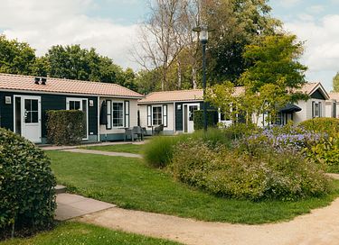 Chalet d'hôtel pour 2 personnes sur la Veluwe - 11