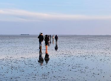 Ruim vakantiehuis op 500 van zee  - 33