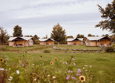 Luxuriöses Safarizelt (5 Personen) mit Klimaanlage - 3