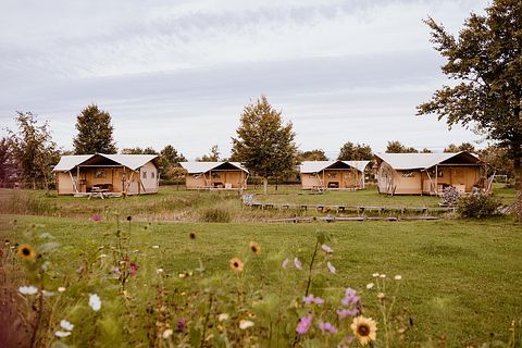 Luxuriöses Safarizelt (5 Personen) mit Klimaanlage - 3