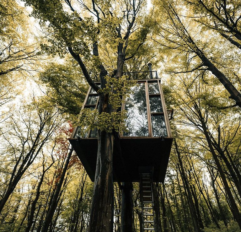 Unique glass cabin at a height of 4 meters - 1