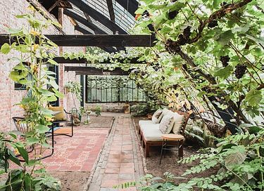 Luxury B&B in 100 year old grapevine - 15