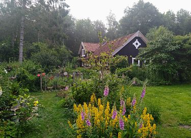 Gemütliches schwedisches Landhaus in Drenthe - 4