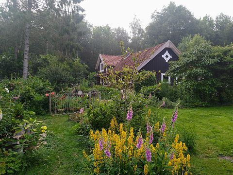 Gemütliches schwedisches Landhaus in Drenthe - 4