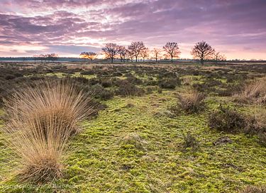 Houten vakantiehuis in het bos op de Veluwe - 24