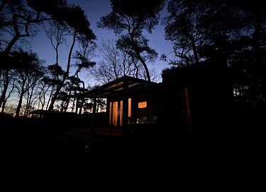 Knus houten boshuisje in Drenthe - 13