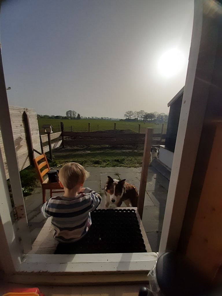 Séjour dans une cabane de berger à la ferme - 1