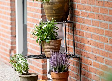 Vrijstaand natuurhuis (6p) - 38