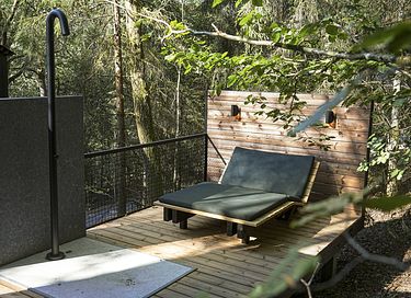 Un pernottamento unico tra gli alberi - 13