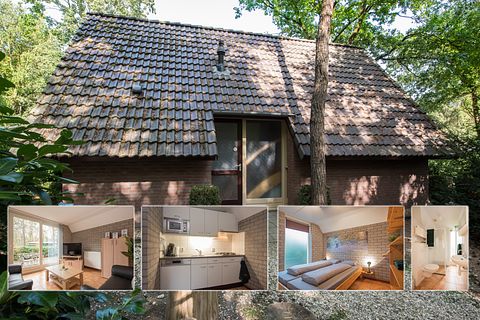 Quietly located vacation home on green park - 2