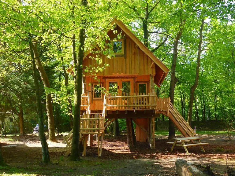 Cabane dans les arbres dans le Brabant-Septentrional (4 personnes) - 1