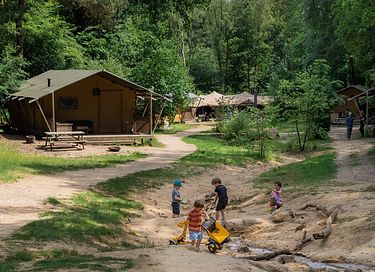 Beautiful forest cabin in small vacation park - 26