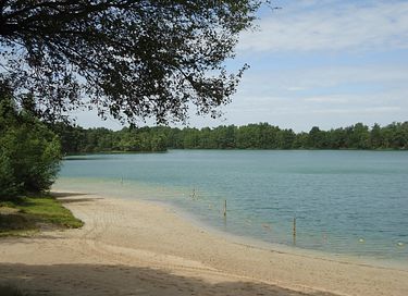 Boslodge met vrij uitzicht op de natuur - 7