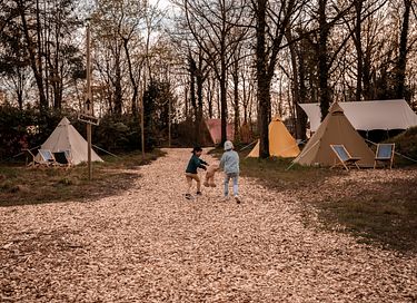 Familietent op camping in levendige omgeving - 7