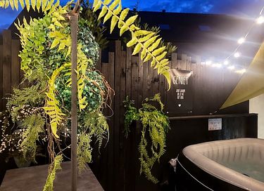 Vakantiehuisje met sauna en jacuzzi - 26