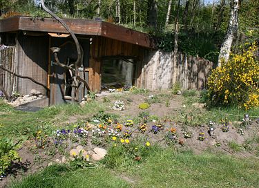 Maison de hobbit dans un camping à Drenthe