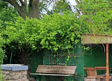 Rustic stay in rural setting - 27