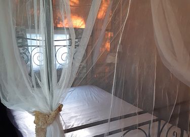 Glamping in the most beautiful Brabant place - 5