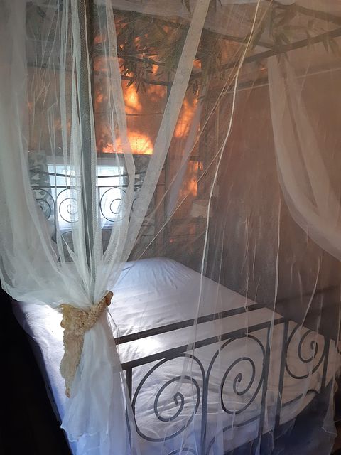 Glamping in the most beautiful Brabant place - 5