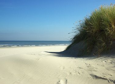 Bel appartement pour 10 personnes à Ameland - 16
