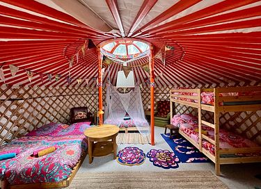 Yourte colorée dans un camping écologique à Groningue - 7