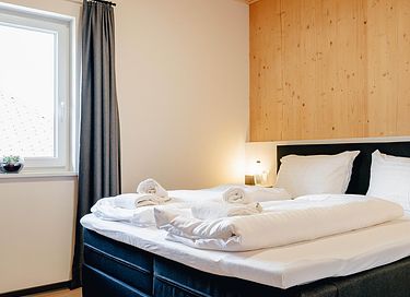 Luxury apartment with sauna in Austria - 10