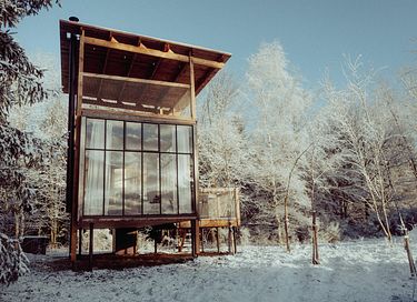 Luxe boomhut met dakterras en wellness - 4