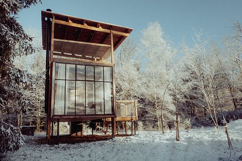 Luxe boomhut met dakterras en wellness - 4