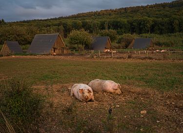Luxe natuurhuisje in de Ardennen - 26