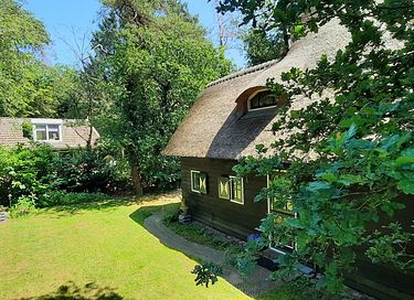 2 maisons la forêt adjacentes dans Drenthe