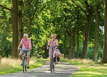 Wellness lodge in Overijssel op een leuk park - 34