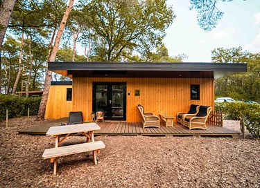 Tiny house met veranda in Drenthe voor 4 personen - 1