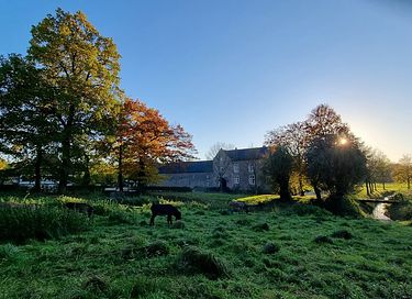 B&B in beautiful Limburg castle - 29