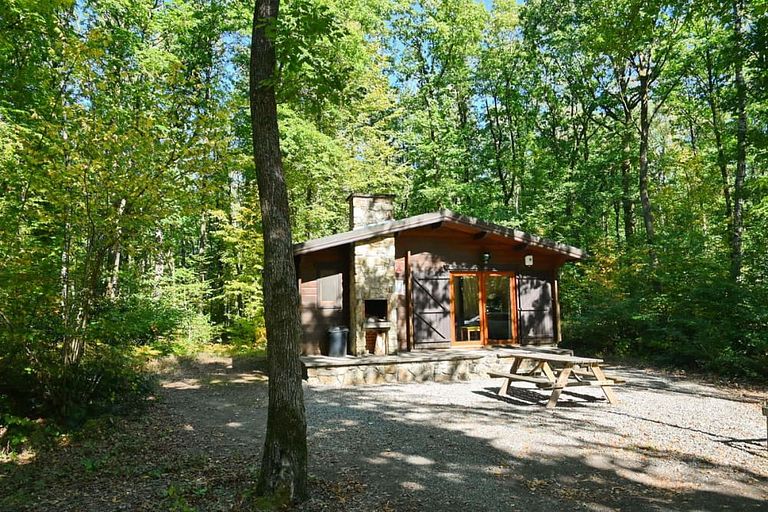 Forest cabin in the Ardennes (4p) - 1