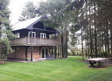 Prachtig boshuisje in Drenthe - 14
