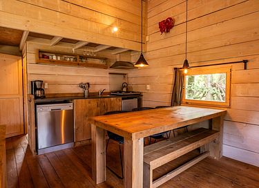 Unique stay in Drenthe (dogs allowed) - 7