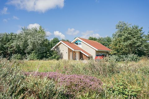 Rustig gelegen familievilla in de duinen - 3